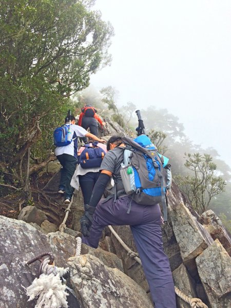 再登鳶嘴山-巧遇同事 2018/11/16462747