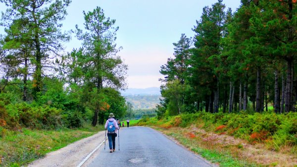 西班牙朝聖法國之路115KM, Day33125741