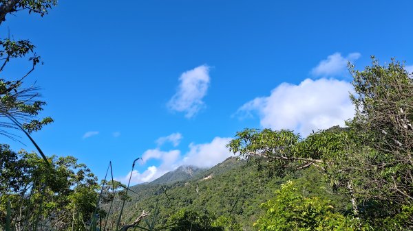 棲松縱走未竟2918311