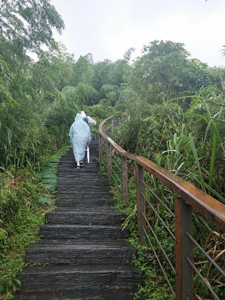 太平雲梯吊橋步道397178