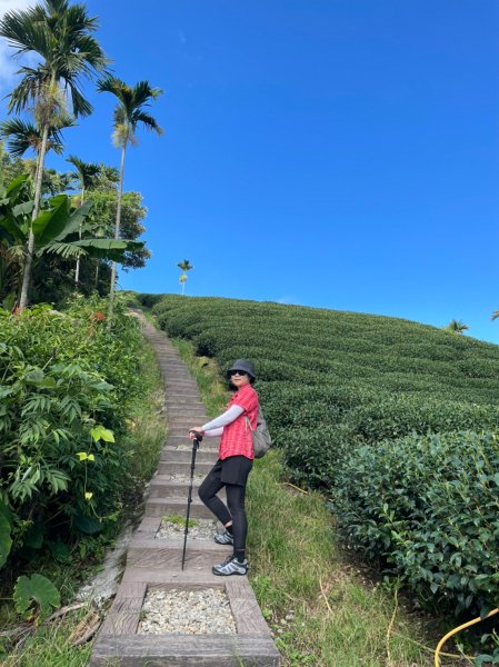 220820-挑筍古道(後棟仔山、小百岳#056雲嘉大尖山)1834562