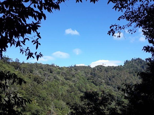 台中鞍馬山船型山蹤走20191124748514