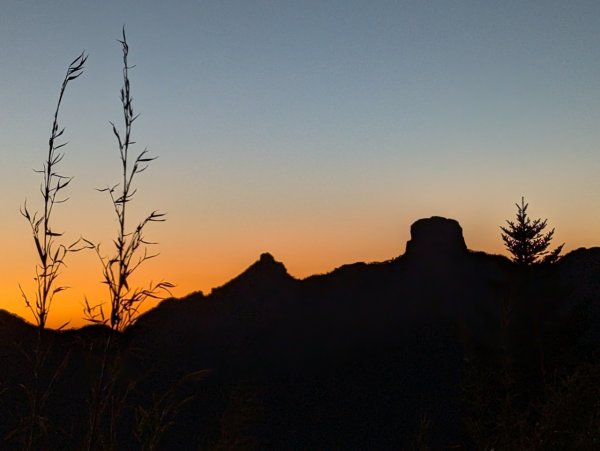 2025/228 武陵四秀