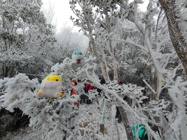 雪季北得拉曼2956406