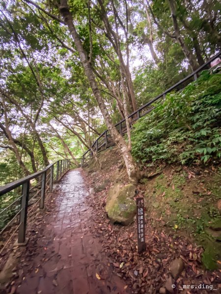 ＜新北市．三峽＞滿月圓國家森林遊樂區1004158