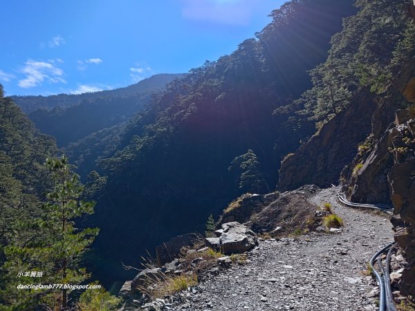 【南投】合歡溪步道：遠得要命的櫻花鉤吻鮭2912236