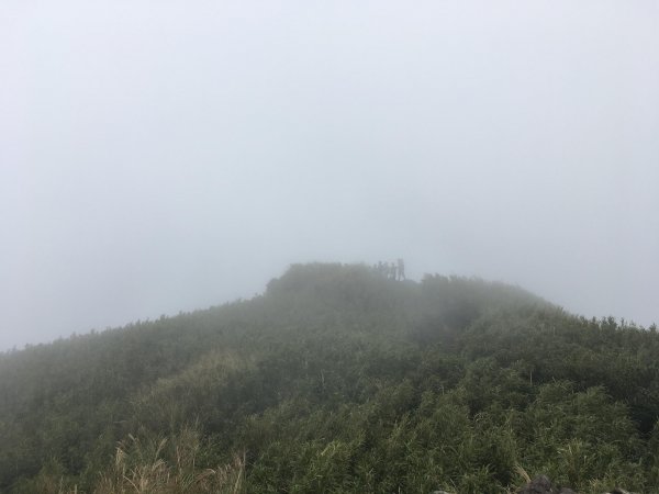 20190913-七星山主東峰678319