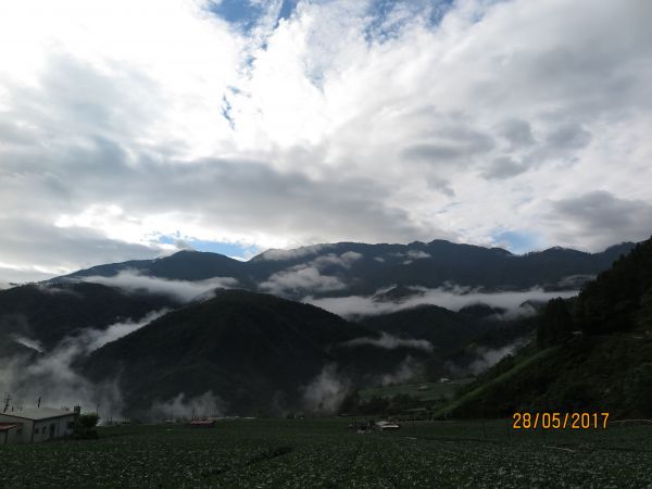 南山村及福壽山魯冰花海135363