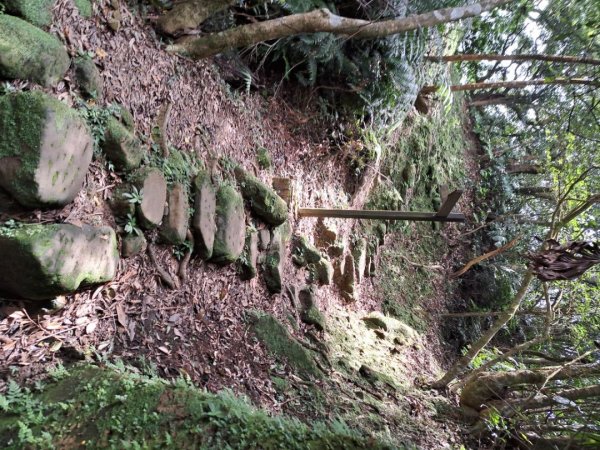 2026微笑山線筆架連峰段3103648