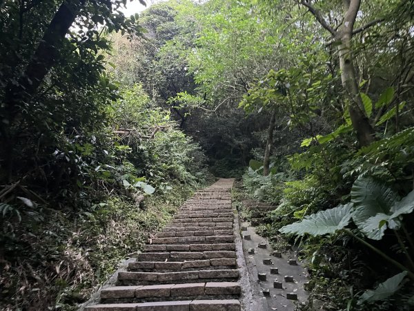 [山頂鳥40周年會員大縱走-09/15] 2024_0718 象山親山步道2556897