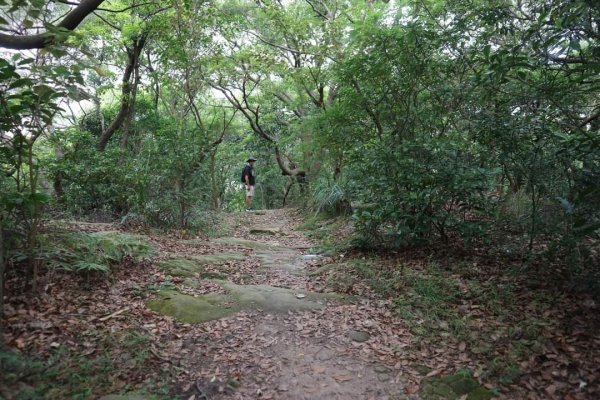 唭哩岸山 奇岩山 東華山。唭哩岸烏尖連峰步道 懸崖峭壁巨石 攀岩愛好的天堂2175912