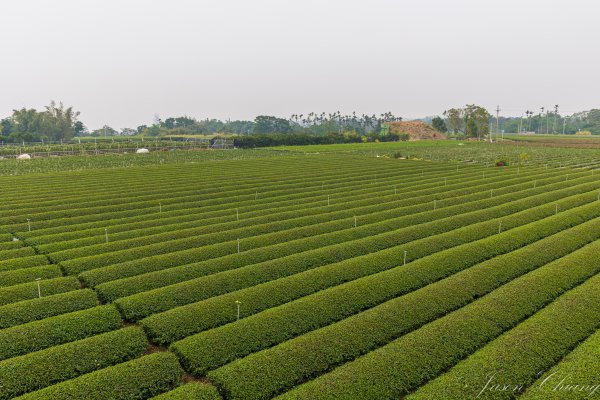 [南投]松柏坑山2683285