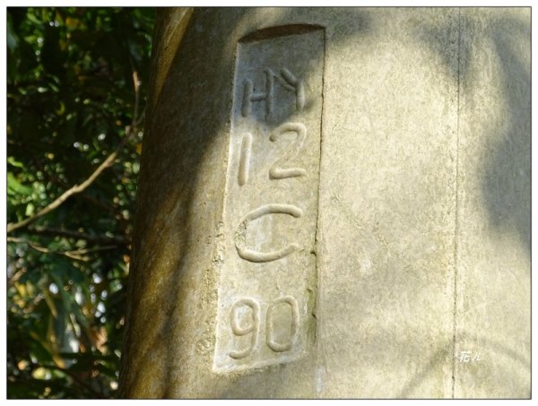 東南坑山(台中-太平)1279622