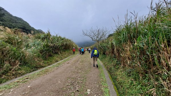 台北大縱走第一段1249212