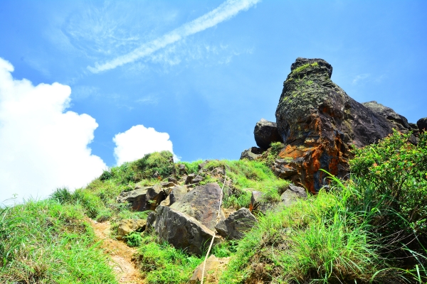 【步道小旅行】無耳茶壼山3331