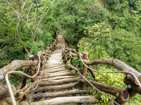 頭嵙山(小百岳#41)大坑4,5,1步道1003694