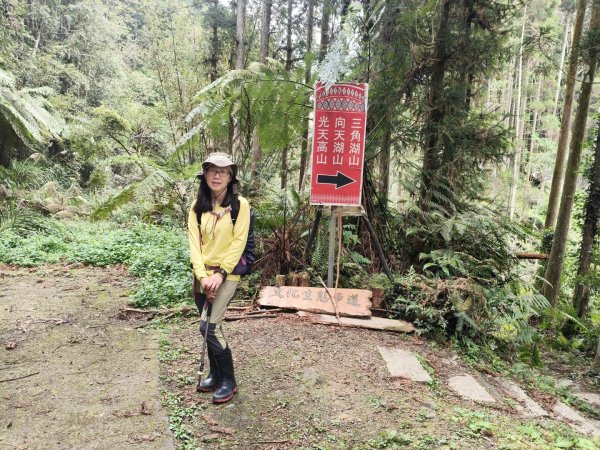 向天湖三山+ 南大龜山3012329