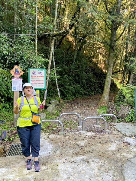 大雪山避暑順登橫嶺山（2人獨享的雲霧森林）  2021/7/151425622