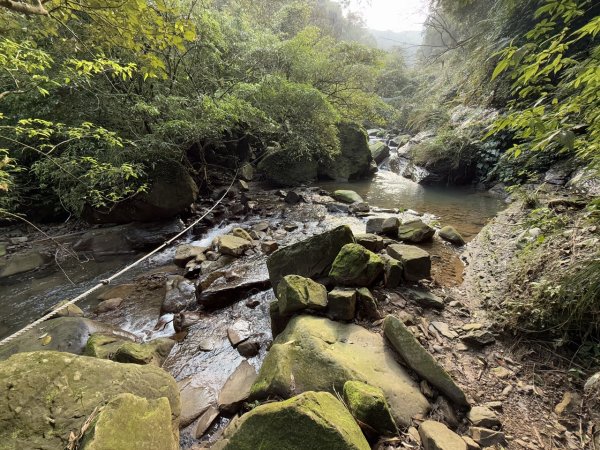 2025/02/17 姜子寮絕壁瀑布 姜子寮山2908688