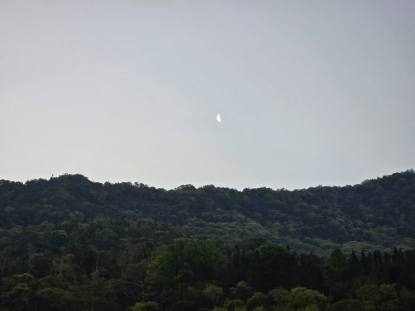 卓社大山〔武界栗栖溪登山口起登〕2748366