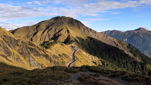 貼近山林來走個稍微不一樣風景的合歡山2989406
