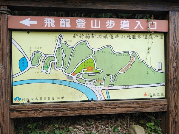 蓮華山步道上蕨類地毯封面