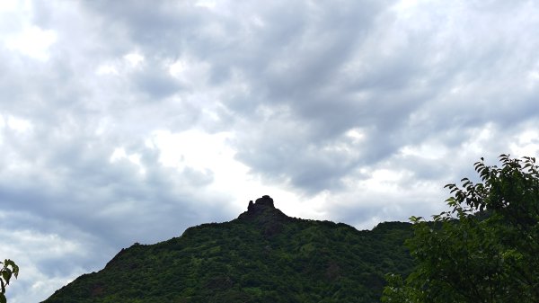 楊廷理古道2814574