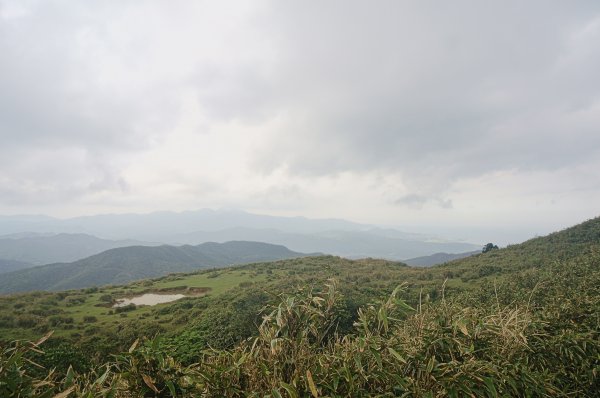 灣坑頭山 桃源谷步道 連走2034828