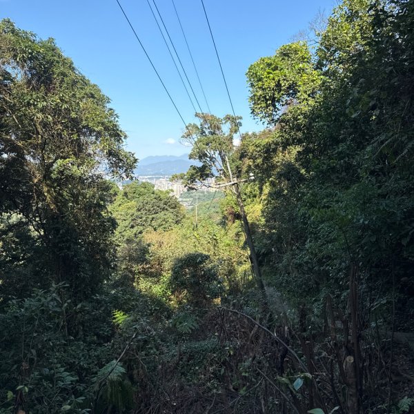 20260110 更寮古道(小百岳-土庫岳)2980760