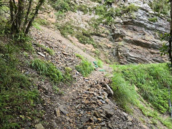 觀高山屋／龍貓公車／八通關山／八通關山西峰2927375