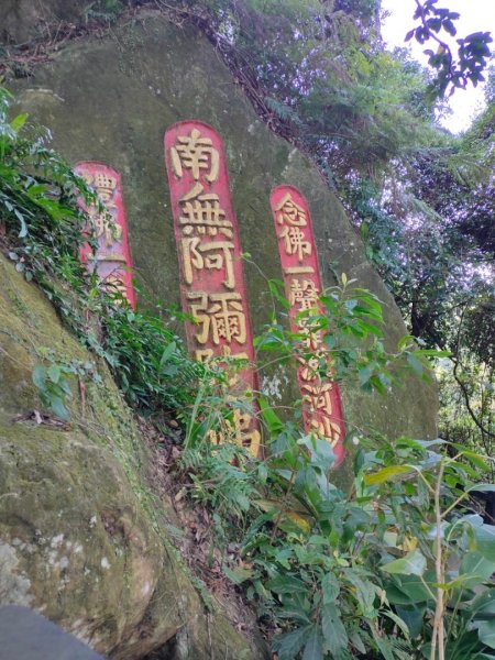 ［象山~深坑8連峰］  （象山～南港山南峰～拇指山～倒照湖山～大坑山～西峰~三腳木山~西峰）2403150