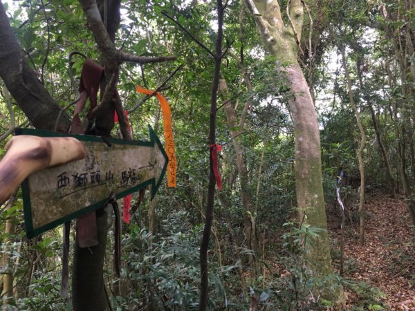 赤柯山、東獅頭山2748525
