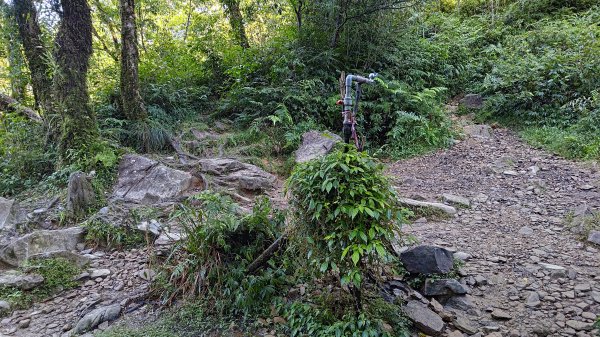 棲松縱走未竟2918306