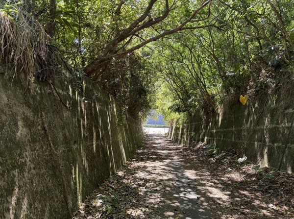 2025_1018 花蓮山步道2921264