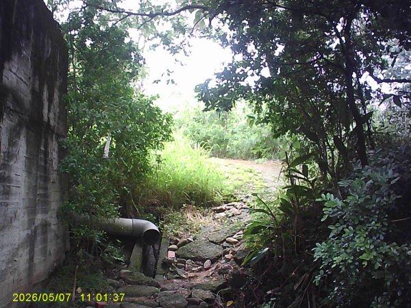 苗栗頭份「鹿廚坑步道」健走，順道拜訪濫坑山、鹿廚坑山、中央尖！3079116