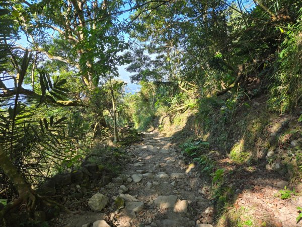 九龍山連走大凍山2955724