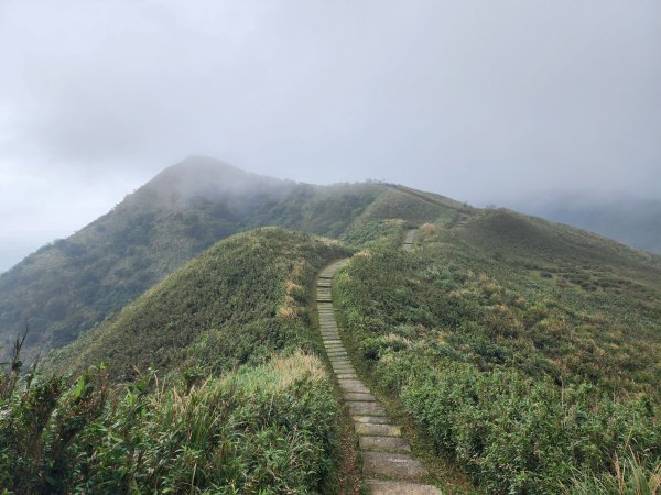 小百岳No.82⛰灣坑頭山3003074