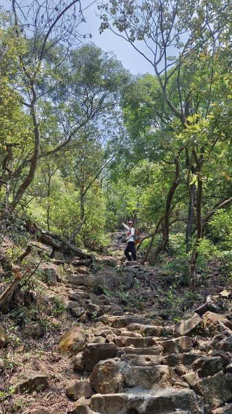 (姨婆趴趴走)第五十四集:攀登台北內湖剪刀石山、金面山2775889