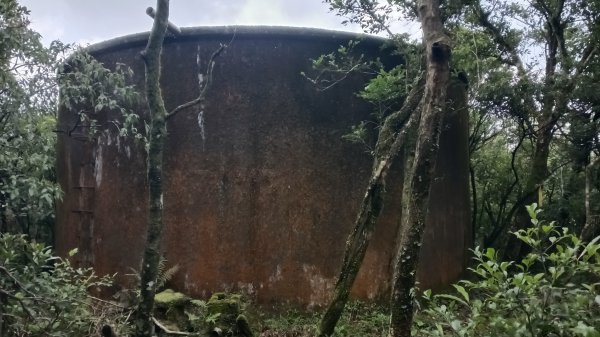 雙溪區豎旗山北稜線-豎旗山-豎旗山南峰-烏山尖-鄒家古厝-保成坑口站O型3071254