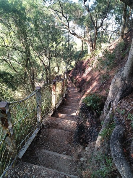 鼓山尖峰泡茶趣---田中森林登山步道818721