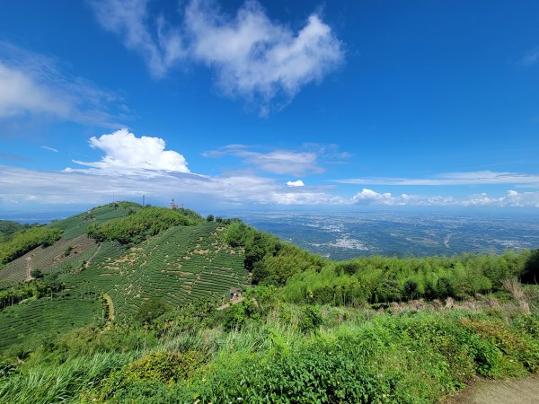 【雲嘉抺茶山】1735898