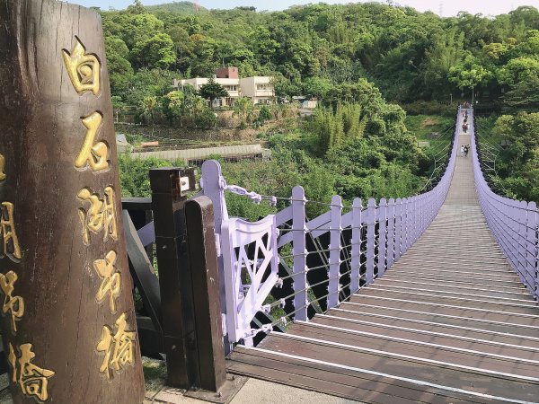 ~  臺北大縱走  第五段  ~1335015
