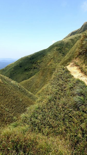 聖母登山步道926827