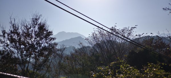 2026/01/10_銅鏡山林步道2980594