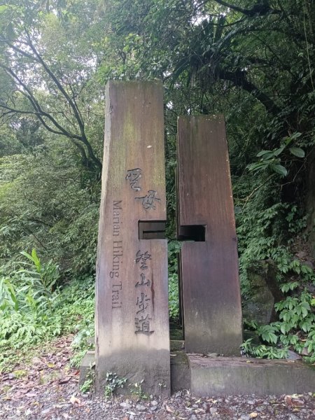 迷霧抹茶山1712744