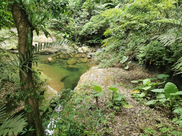 獅頭山風景區 - 漫步參山步道1023073