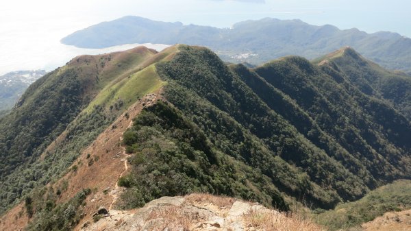 香港山系 － 大嶼山931036