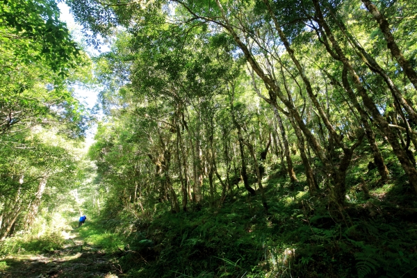 尋找獸跡與精靈。美奈田主山（Minataz）21371