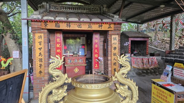 20250913龍華科大到體育大學秘徑-樟腦寮古道-青年公園O型2883667
