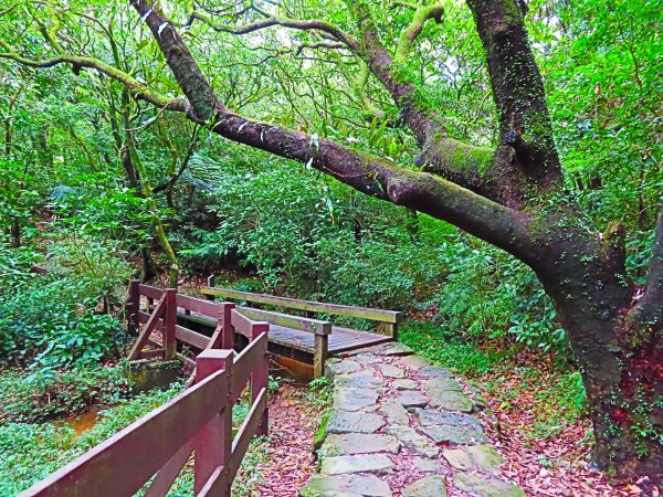 寂靜山徑：世界首座都會寧靜公園1122097